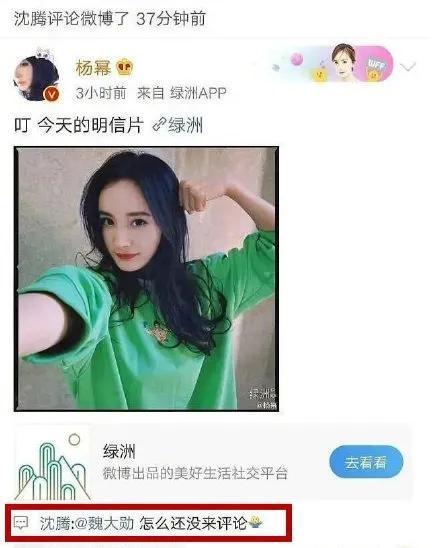 娱乐圈最新的吃瓜网站,揭秘明星背后的惊人真相!